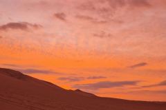 20230417_180247-scaled