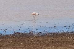 20230420_113333-scaled