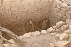 Obrazek-WhatsApp-2023-04-19-v-02.31.39