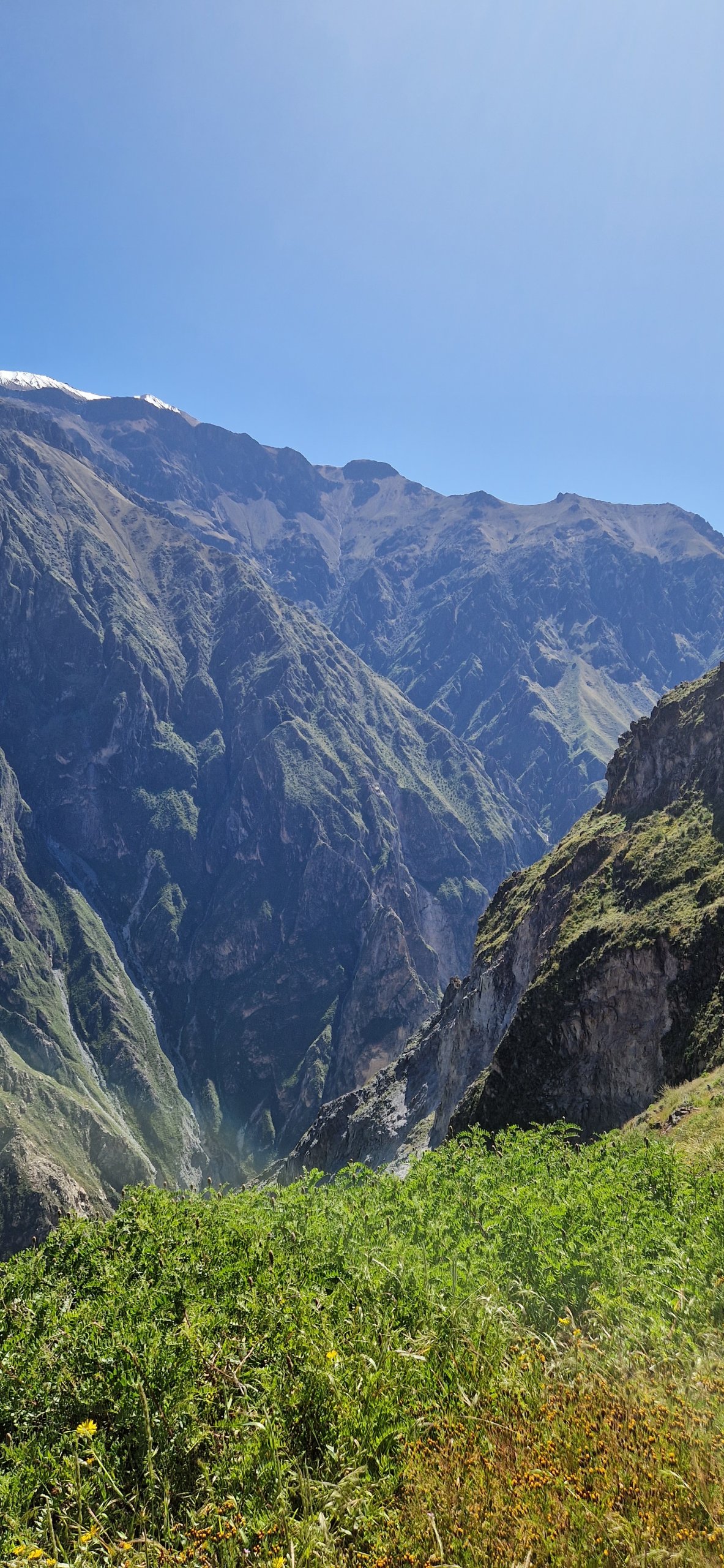 Cesta po Peru – Colca kaňon a kondoři
